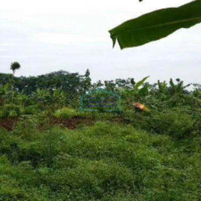 Dijual Tanah Kosong  di Semarang LT 50000m2