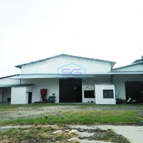 Dijual Gudang Bagus di Jl Gubug Purwodadi Godong Demak LT 5796m2-1