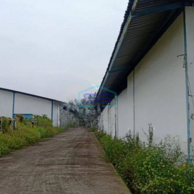 Disewakan Gudang 1 Lantai di Tambakaji , Semarang LT 12000m2-3