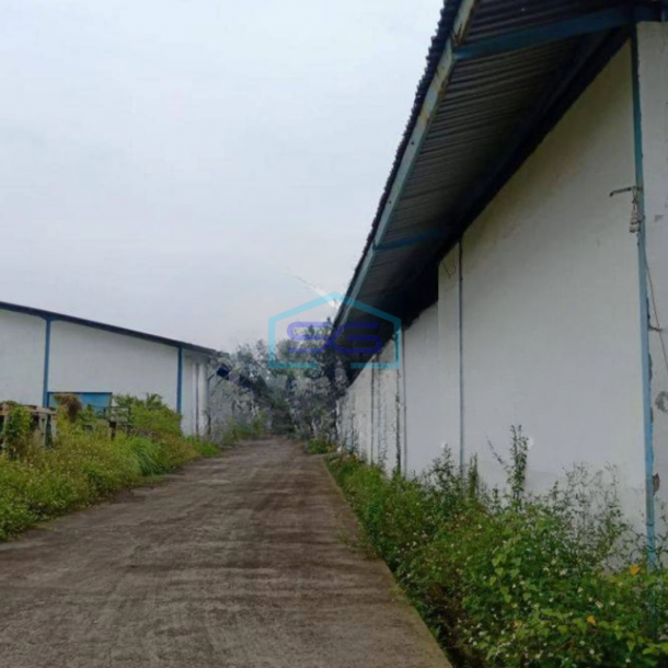 Disewakan Gudang 1 Lantai di Tambakaji , Semarang LT 12000m2-3