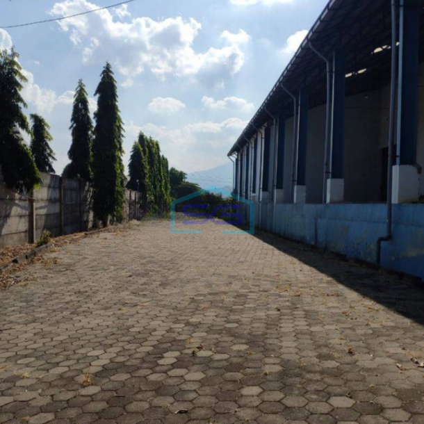 Disewakan Gudang Bawen Semarang Siap Pakai Luas Tanah 40000m2-3