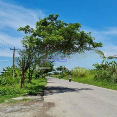 Dijual Tanah di Onggorawe Sayung Demak Luas Tanah 3074m2-2