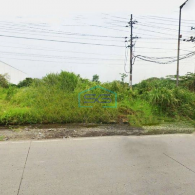 Dijual Tanah di Jalan Raya Kaliwungu Kendal LT 3700m2
