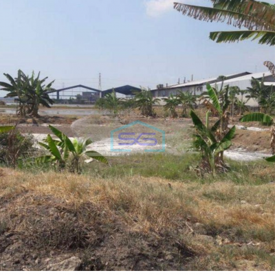 Dijual Tanah di Kaligawe Semarang LT 100000m2