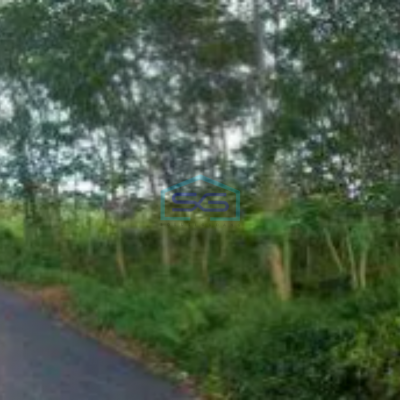 Dijual Tanah Pinggir Jalan Raya Kudus LT 12000m2