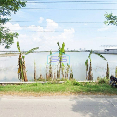 Dijual Tanah di Raya Onggorawe Sayung Demak Letak Strategis LT 24667m2