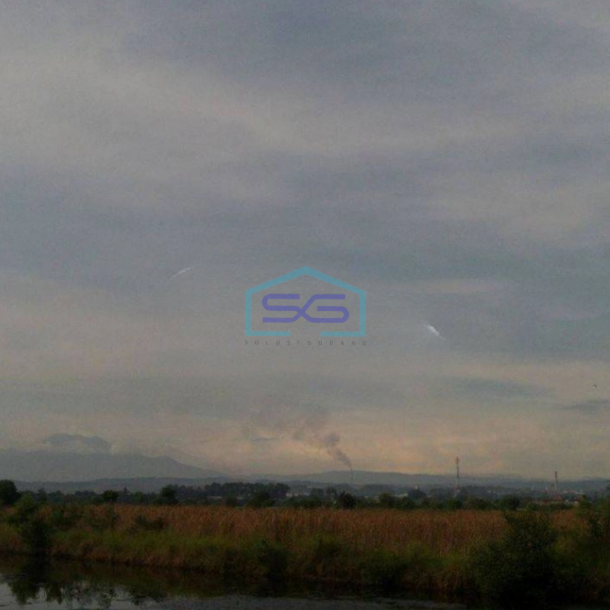 Dijual Tanah di Lingkar Kaliwungu Semarang Luas Tanah 5000m2-1