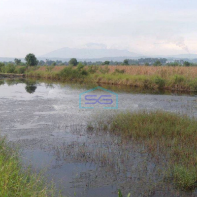 Dijual Tanah di Lingkar Kaliwungu Semarang Luas Tanah 5000m2-2