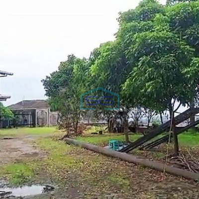 Dijual Tanah di Borobudur Semarang LT 5000m2 Lokasi Bebas Banjir