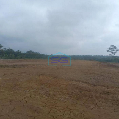 Dijual Tanah di Ampel Ngadirojo Boyolali Luas Tanah 46000m2