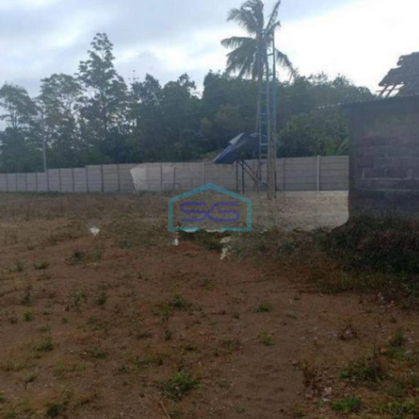 Dijual Tanah di Ampel Ngadirojo Boyolali Luas Tanah 46000m2-2
