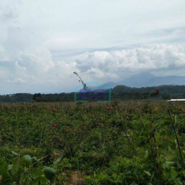 Dijual Tanah Murah di Daerah Bandungan Semarang LT 4000m2-1