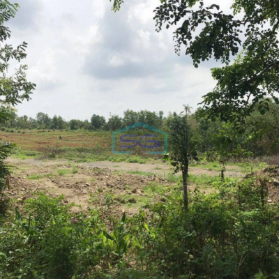 Dijual Tanah Besar Daerah Karanggede Boyolali LT 74999m2 Cocok Untuk Industri