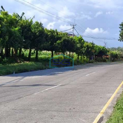 Dijual Tanah Gudang Manufaktur Jalan Utama By Pass Ketewel Gianyar Bali