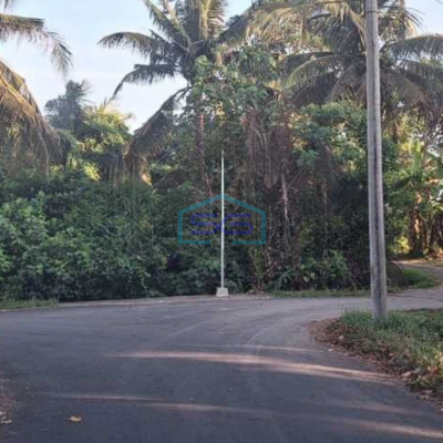 Dijual Tanah Lokasi Strategis di Daerah Tabanan Bali LT 270000m2