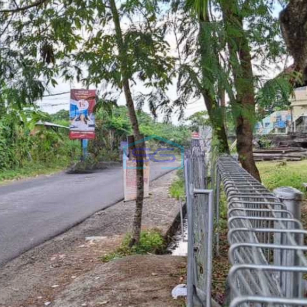 Dijual Tanah View Sawah Dan Jungle Jalan Utama Dekat Pererenan Canggu Badung Bali LT 2400m2-2