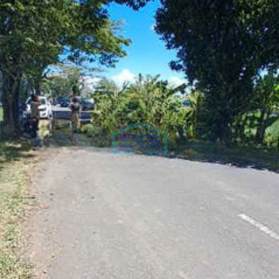 Dijual Tanah Zona Pariwisata Jalan Utama Pantai Seseh Bali Badung LT 1300m2