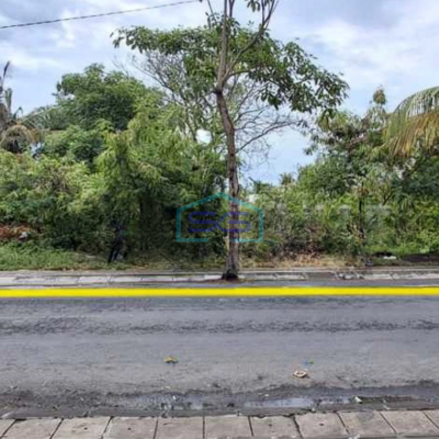 Disewakan Tanah Pantai Pererenan Canggu Bali Badung Luas Tanah 2743m2