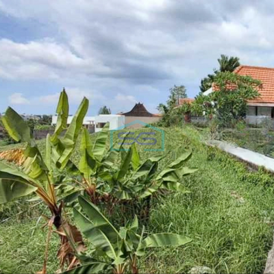 Disewakan Tanah Padat View Sawah Tibubening Canggu Badung Bali LT 1860m2