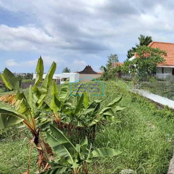 Disewakan Tanah Padat View Sawah Tibubening Canggu Badung Bali LT 1860m2-2