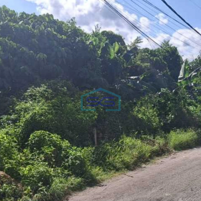 Disewakan Tanah Gudang Manufaktur Dekat Kerobokan Badung Bali Denpasar Luas 20000m2