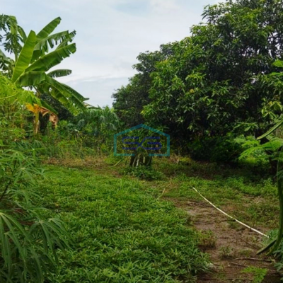 Dijual Tanah Komersil Gatot Subroto Denpasar Bali Luas 2440m2