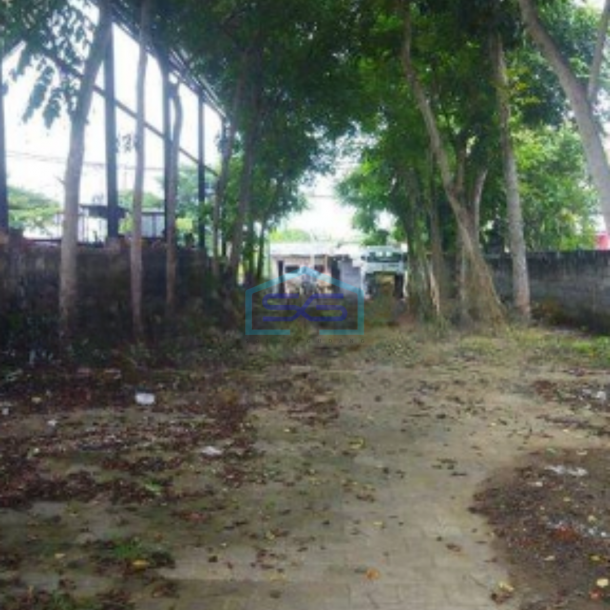 Disewakan gudang luas 3000 m2 di Denpasar Barat Bali-3