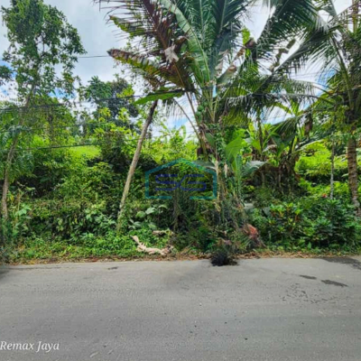 Dijual Tanah Dekat Como Shambhala Ubud Bali Luas Tanah 8900m2