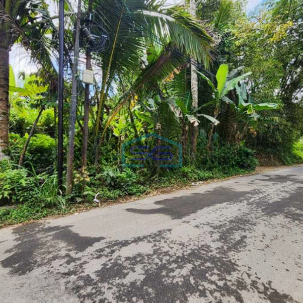 Dijual Tanah Dekat Como Shambhala Ubud Bali Luas Tanah 8900m2-2