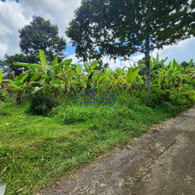 Dijual Tanah Dekat Como Shambhala Ubud Bali Luas Tanah 8900m2