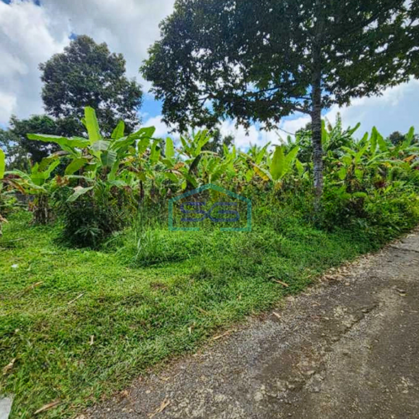 Dijual Tanah Dekat Como Shambhala Ubud Bali Luas Tanah 8900m2-1