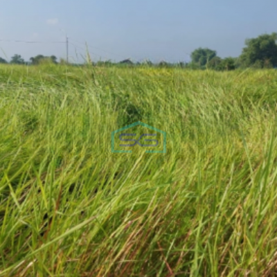 Dijual Tanah Kavling di Menganti Gresik Jawa Timur LT 620m2