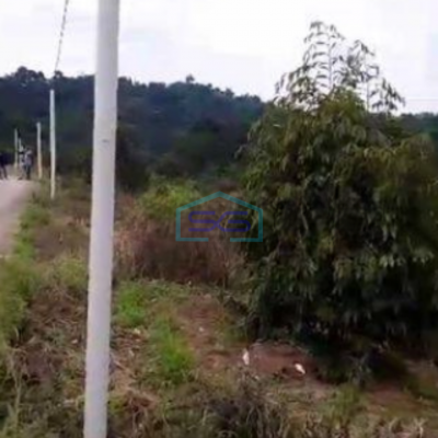 Dijual Tanah Luas Untuk Peternakan, Agro, Pemakaman Dll di Bogor LT 720000m2