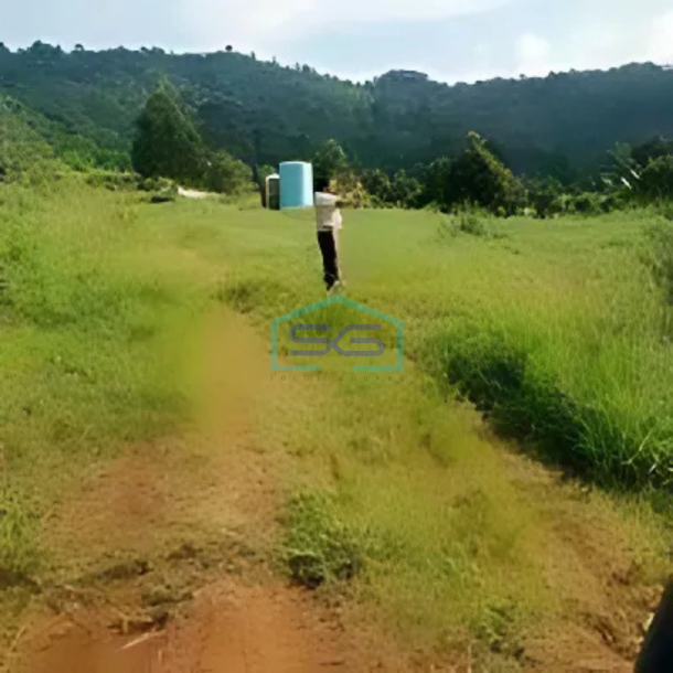 Dijual Tanah Luas Untuk Peternakan, Agro, Pemakaman Dll di Bogor LT 720000m2-1