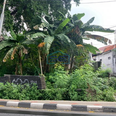 Dijual Tanah Bonus Bangunan Di Kemang, Jakarta Selatan LT 2500m2