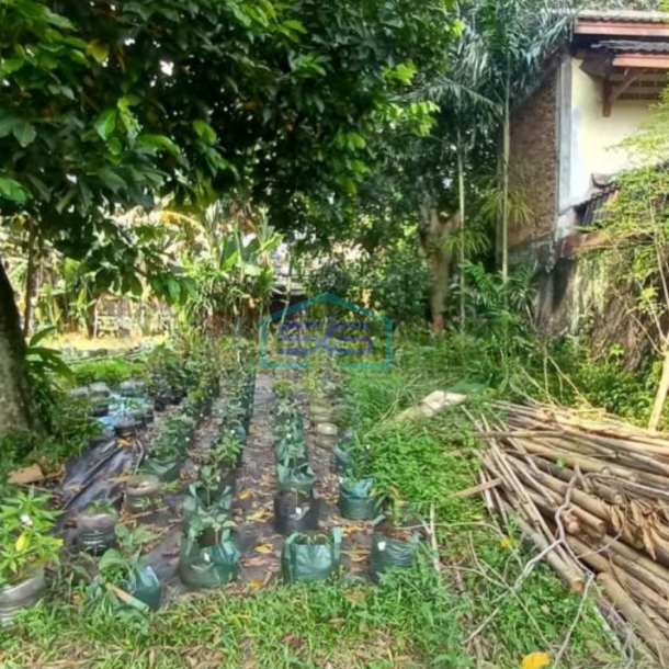Dijual Tanah Di Jakarta Selatan Luas Tanah 2025 m²-1