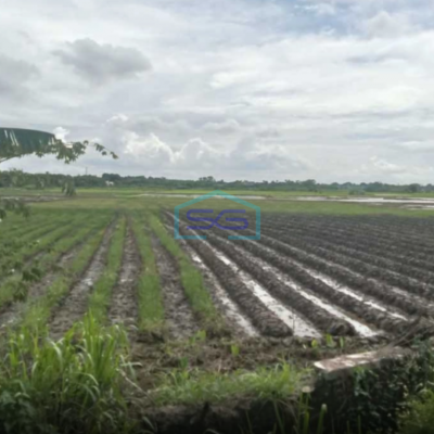 Dijual Tanah Sawah Di Desa Kelebet Kec. Kemiri Kab. Tangerang Luas Tanah  200000 m²