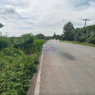 Dijual Tanah Sawah Di Desa Kelebet Kec. Kemiri Kab. Tangerang Luas Tanah  200000 m²