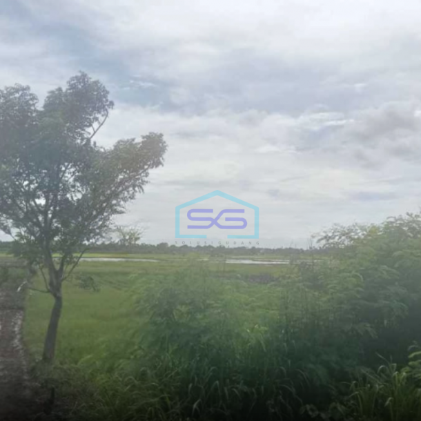 Dijual Tanah Sawah Di Desa Kelebet Kec. Kemiri Kab. Tangerang Luas Tanah  200000 m²-1