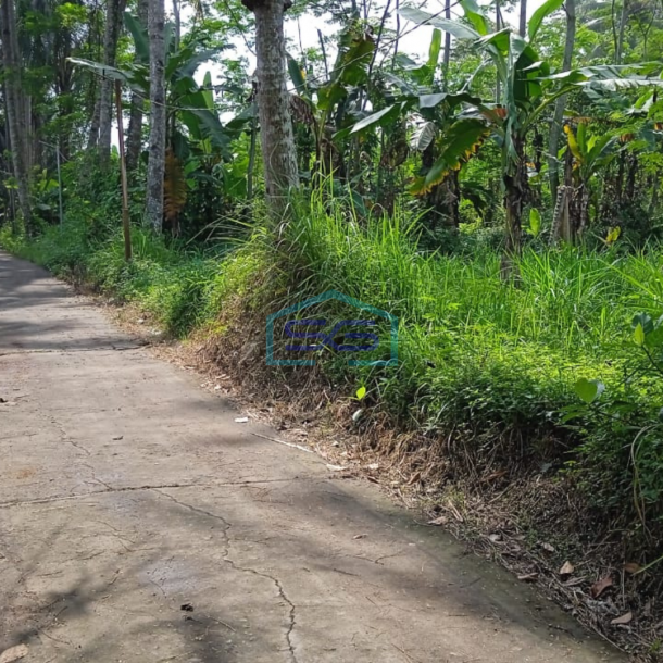 Dijual Tanah di Magelang Jawa Tengah Luas Tanah 3399m2-3