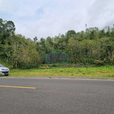 Dijual Tanah Murah Area Girisubo Gunung Kidul Yogyakarta LT 17500m2