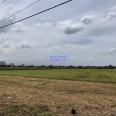 Dijual Tanah Luas 42000 m² Lokasi Gresik Jawa Timur