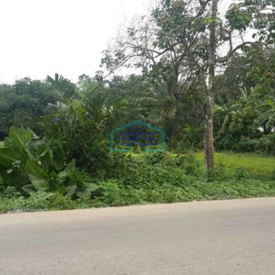 Dijual Tanah Lokasi di Cikupa Luas 3 Ha Tangerang-3