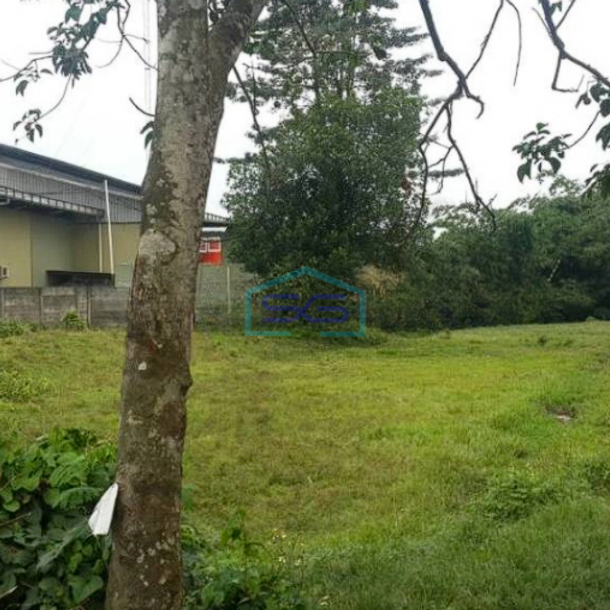 Dijual Tanah Lokasi di Cikupa Luas 3 Ha Tangerang-1