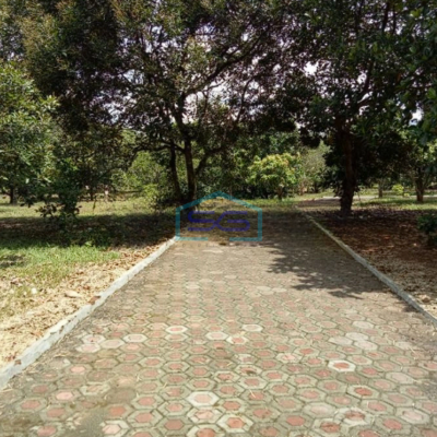 Dijual Lahan Tanah di Tanjungsari Bogor Luas 33675m2-2