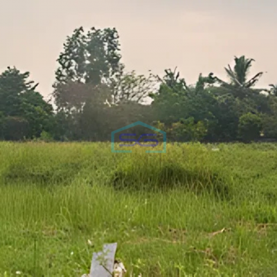 Dijual Tanah Kawasan Balaraja Tangerang Luas Tanah 10750m2