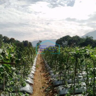 Dijual Lahan tanah 53 hektar di Belakang Trans TV Sukabumi, Sukaraja