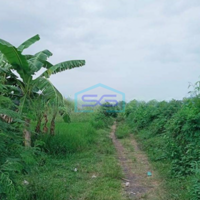 Dijual tanah di bali