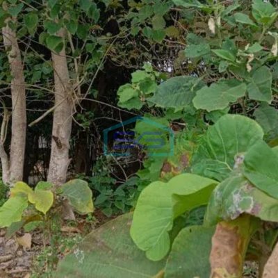 Dijual cepat nett tanah jalan utama Cigadung Dago, kota Bandung