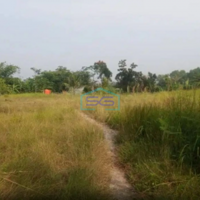 Dijual Tanah Dan Bangunan Gudang Di Jalan Raya Cikande Rangkas Bitung Banten LT 29207m2